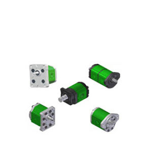 Gear Pumps & Motors